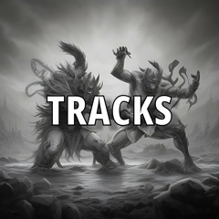My Tracks