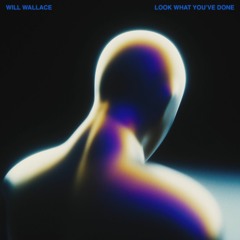 Will Wallace - Look What You've Done