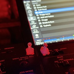 LEESE GEESE - MAÏS B2B Pableeto - Closing set