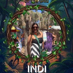 INDI - RHYTHM OF THE WILD ‘25