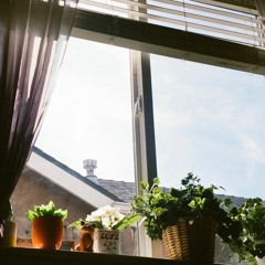 Say Hello to Miguel Sanchez