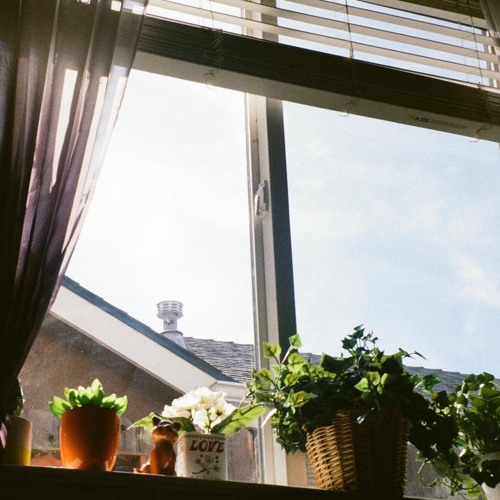 Say Hello to Miguel Sanchez