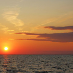 Spectrum - Zedd (Piano Cover)