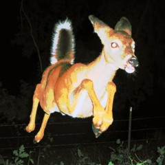 NODDING OFF - NIGHTCRAWLER*