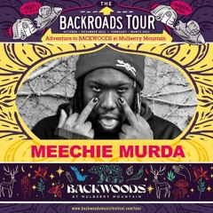 Live At Backwoods Music Festival