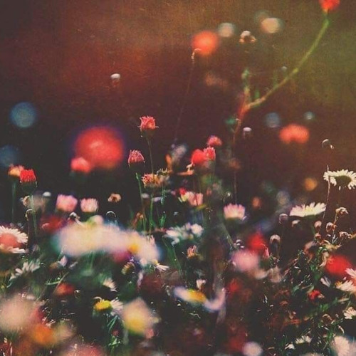EnfouiS [TEKC 002]