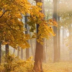 Dr.Leitstrom-November Dj Set