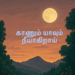 காணும் யாவும் நீயாகிறாய்