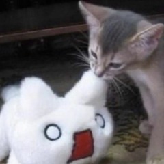 cupsize - черная посуда