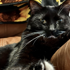 Third EYE BASS MIX VOL 2