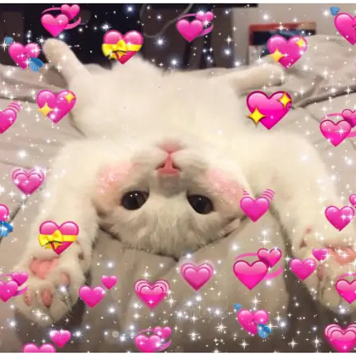 BUTCHER VANITY [pann remix feat. NineZero]