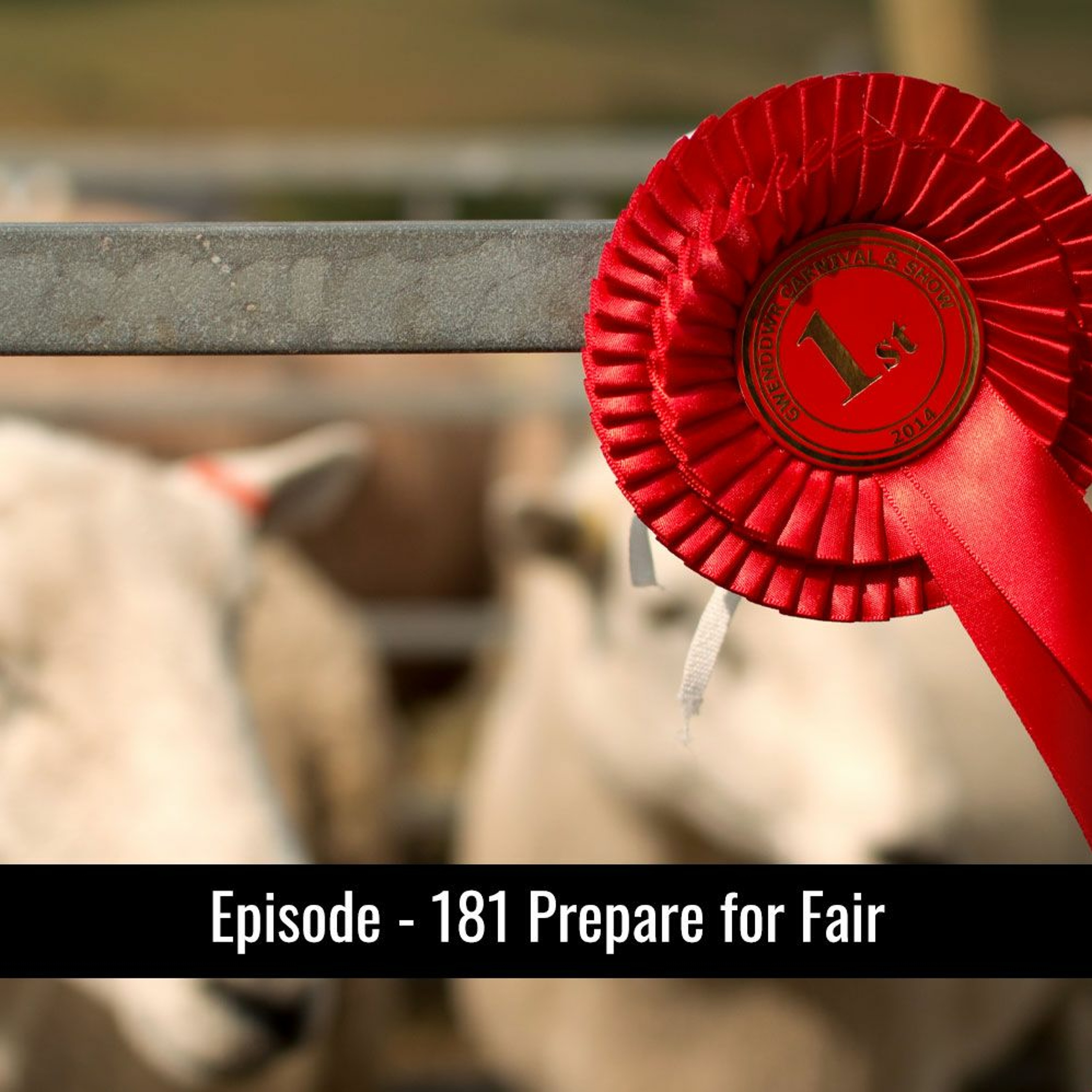 181 - Prepare Your Animal For Fair