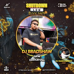 Shutdown LDN Block Party • New Dancehall Live Audio • DJ Bradshaw & DJ Margabwoy