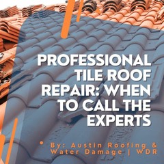 Professional Tile Roof Repair: When to Call the Experts