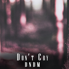 Don't Cry