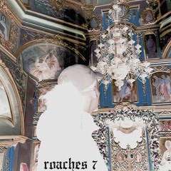ROACHES 7