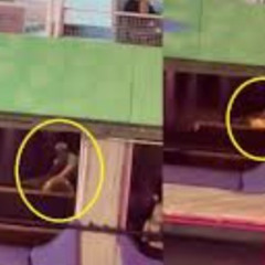 Video do casal do carnaval casal no camarote da sapucai twitter