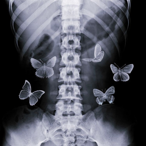 Stream Serebro-Kiss [Slowed] By Her Vibes At Night | Listen Online.