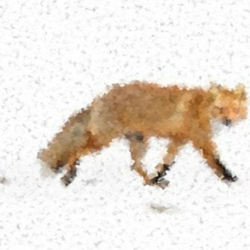 Les yeux de Chimène (Tom Régnier/Alexis Roche)