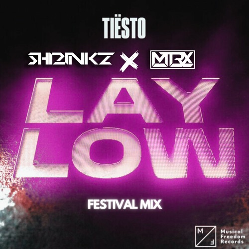 Stream Tiesto - Lay Low (ShrinkZ X MTRX Festival Mix) by ShrinkZ ...