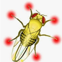 Martin Luther King speech - BLM Aka Flywalker by Gunnar Mohr