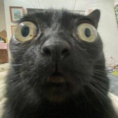 audios for ship edits !!