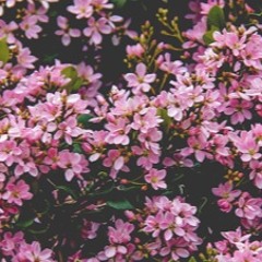 Come My Way (feat. H.I.M, Vince Staples, & Future)