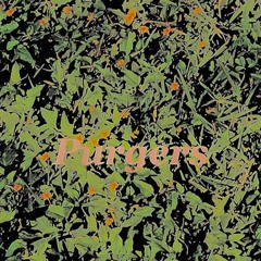 Purgers