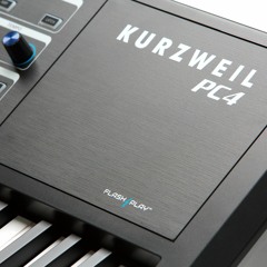 1036 Hybrid Tines EP