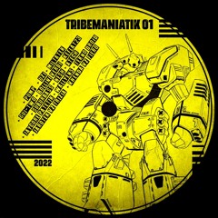 Pump Tribemaniatik - LOKOMOTRIBE - TRIBEMANIATIK O1