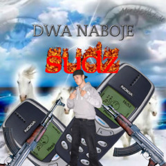 DWA NABOJE