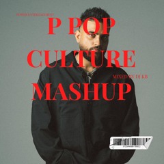 P Pop Culture Album Mashup - DJ KB