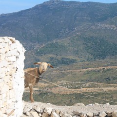 Freestyle Friday 2.0 (feat. amontes2000, C-MIX, DillTrill, Lil Drip, and DJ Bradders)