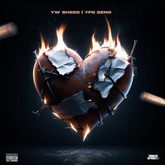 Public-Yw sheed x Yfg geno