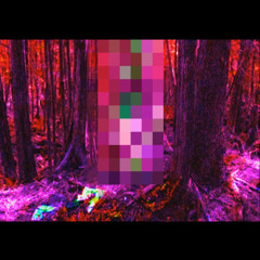 Eric Dingus - 9mm To Heaven