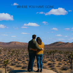 Where you have gone