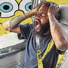 sponge grips