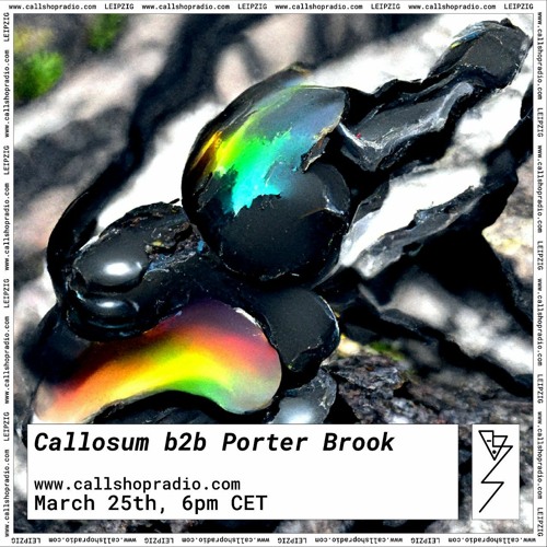 Ecstatic Origins w/ Callosum b2b Porter Brook 25.03.22