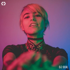 Mixtape 009 - Dj Sehl