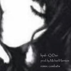 hpsb - 祈祷 (combate amenbreak chaos remix)