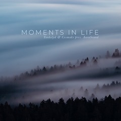 Tankelyd & Cosmaks pres. AuraSound - Moments in Life (Snippet)