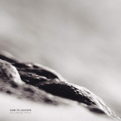 PREMIERE: How To Levitate - Albatross [Aarden]