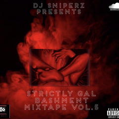 STRICTLY GAL BASHMENT MIXTAPE VOL.5