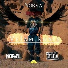 Velam konin