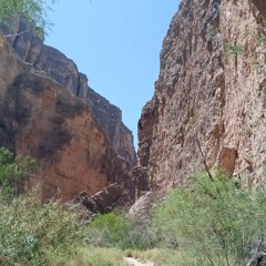 transcendental meditation