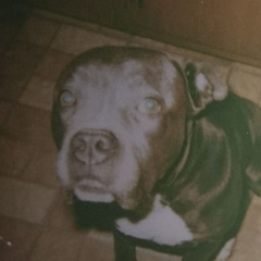 Everything Will Be Alright