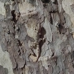 Eneas - lo que se fue (Freestyle tuning 3)