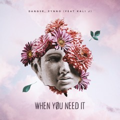 Dang3r, PYNNO & Kali J - When You Need It