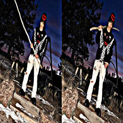 RAIST FOREST - SEARING