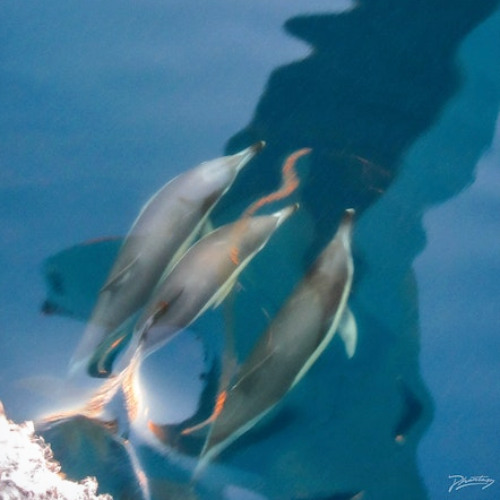 PREMIERE: Gramrcy & John Loveless  - Lucid feat. Tony Morris [Phantasy Sound]